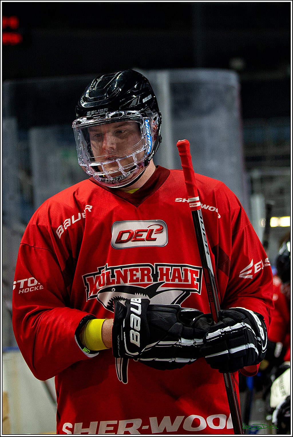 PENNY DEL; Koelner Haie- Red BUll Muenchen Sponsorenspiel; Koeln, 08.11.2022
